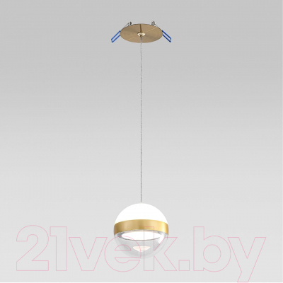 Потолочный светильник Odeon Light Roni 5036/9L