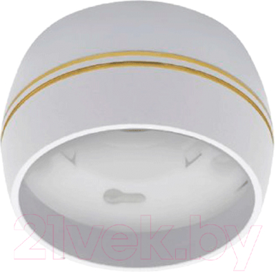 Точечный светильник INhome НПБ DECO-GX53-RS-WG / 4690612046396 - фото