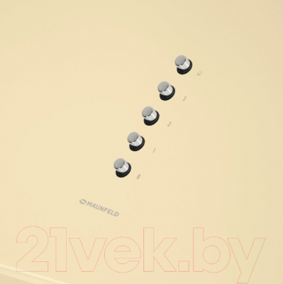 Вытяжка коробчатая Maunfeld Bath 401