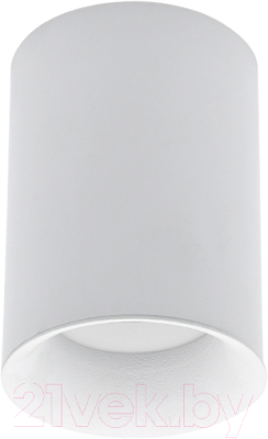 Точечный светильник INhome НПБ Цилиндр-GU10-WH/WH / 4690612046754 - фото