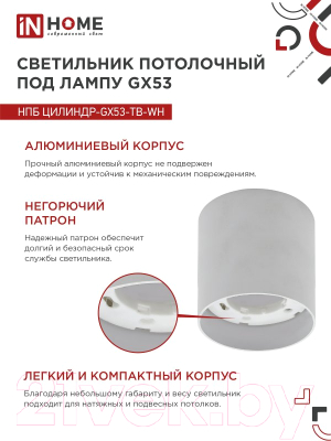 Точечный светильник INhome НПБ Цилиндр-GX53-TB-WH / 4690612045481