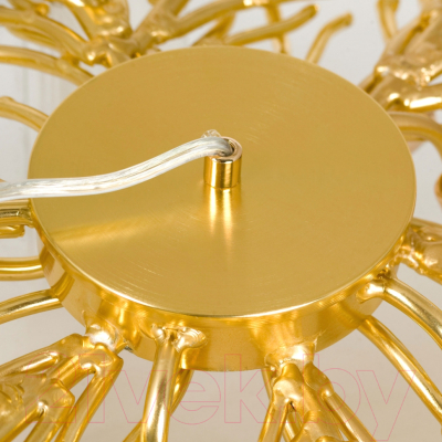 Люстра Lussole Mesa LSP-8851