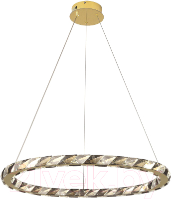 Потолочный светильник Lussole Citrus LSP-7157 - фото