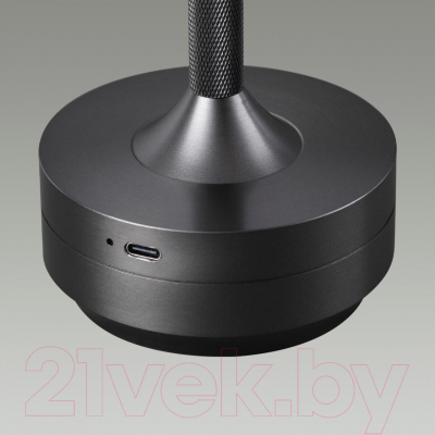 Прикроватная лампа Odeon Light Tet-A-Tet 5034/6TL