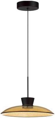 Потолочный светильник Odeon Light Saucer 5055/9LA - фото