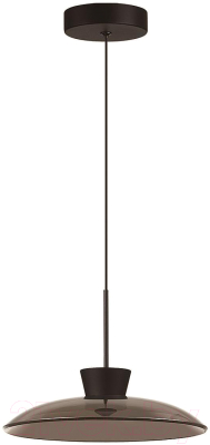 Потолочный светильник Odeon Light Saucer 5055/9L - фото