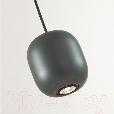 Потолочный светильник Odeon Light Cocoon 5060/1EA