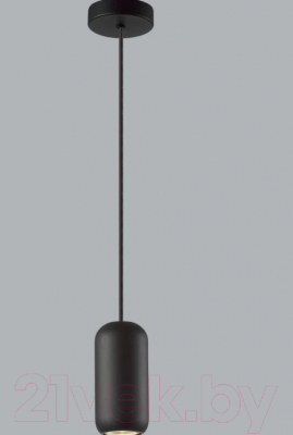 Потолочный светильник Odeon Light Cocoon 5060/1B