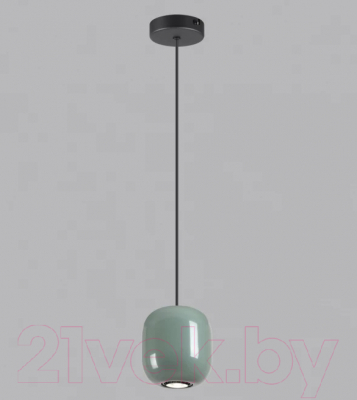 Потолочный светильник Odeon Light Ovali 5053/1C