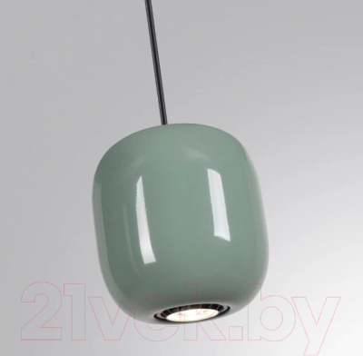 Потолочный светильник Odeon Light Ovali 5053/1C