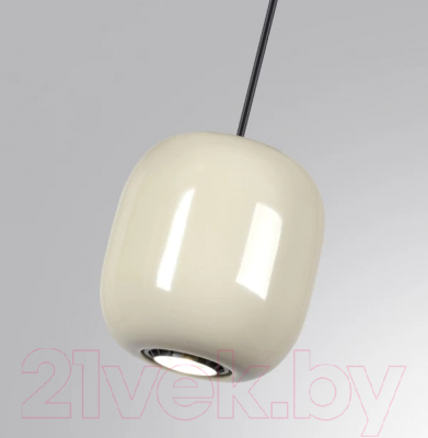 Потолочный светильник Odeon Light Ovali 5053/1A