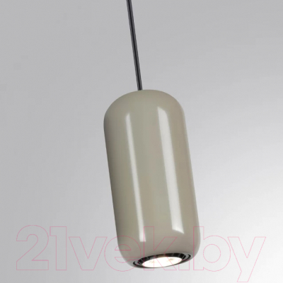 Потолочный светильник Odeon Light Ovali 5053/1D