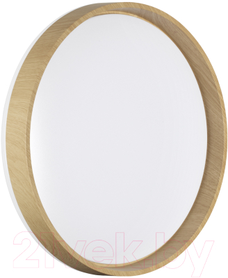 Потолочный светильник Sonex Basica 7684/EL