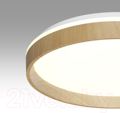 Потолочный светильник Sonex Basica 7684/EL