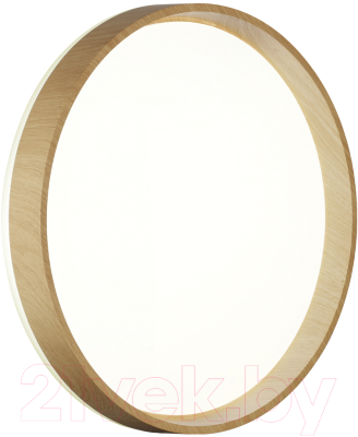 Потолочный светильник Sonex Basica 7684/DL