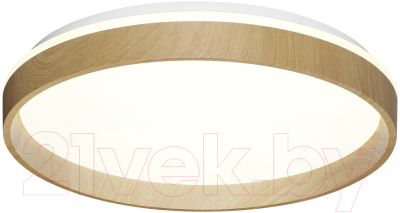 Потолочный светильник Sonex Basica 7684/DL