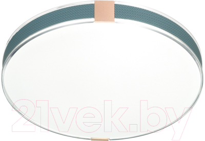 Потолочный светильник Sonex Color 7677/DL - фото