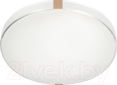 Потолочный светильник Sonex Color 7676/DL - фото