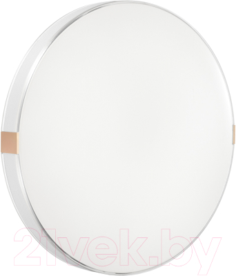 Потолочный светильник Sonex Color 7676/DL