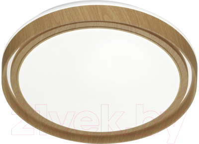 Потолочный светильник Sonex Basica 7640/EL