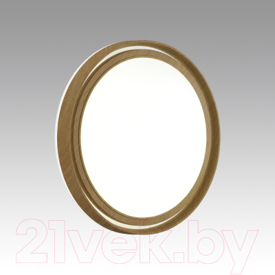 Потолочный светильник Sonex Basica 7640/DL