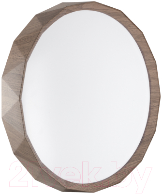 Потолочный светильник Sonex Basica 7637/DL - фото