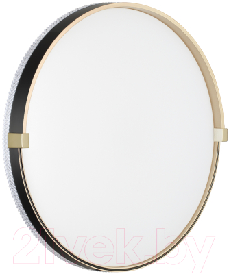 Потолочный светильник Sonex Pale 7647/EL