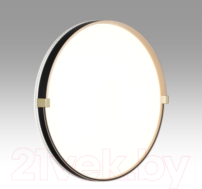 Потолочный светильник Sonex Pale 7647/EL