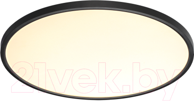 Потолочный светильник Sonex Mitra Led 7660/48L