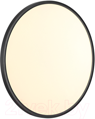 Потолочный светильник Sonex Mitra Led 7660/48L