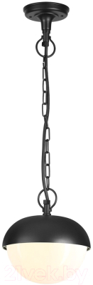 Светильник уличный Novotech Street 370956