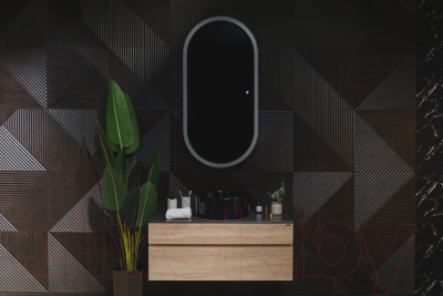 Зеркало Silver Mirrors Виола ТХ 60x120 / LED-00002695