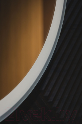 Зеркало Silver Mirrors Виола ТХ 60x120 / LED-00002695