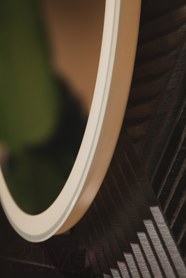 Зеркало Silver Mirrors Виола ТХ 60x120 / LED-00002695