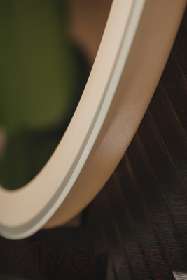 Зеркало Silver Mirrors Виола ТХ 60x120 / LED-00002695