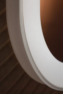 Зеркало Silver Mirrors Стив-ТХ 100x80 / LED-00002697