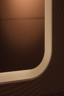 Зеркало Silver Mirrors Стив-ТХ 100x80 / LED-00002697