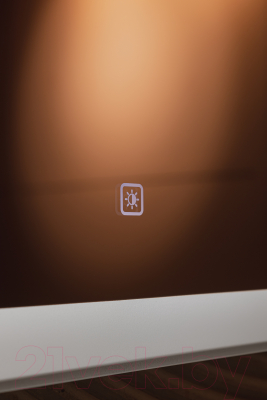 Зеркало Silver Mirrors Стив-ТХ 100x80 / LED-00002697