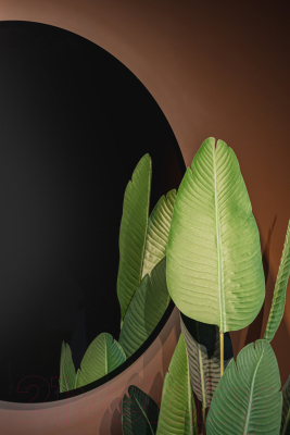 Зеркало Silver Mirrors Monaco Black D1000 / LED-00002769