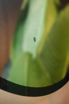 Зеркало Silver Mirrors Monaco Black D1000 / LED-00002769