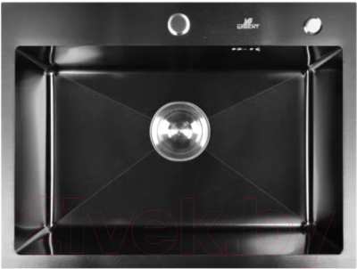 Мойка кухонная Wisent W36050В+W02B+WW405B