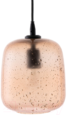 Потолочный светильник Bergenson Bjorn Speckles / BB0000541