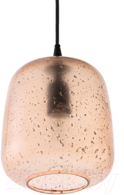 Потолочный светильник Bergenson Bjorn Speckles / BB0000541