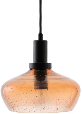 Потолочный светильник Bergenson Bjorn Speckles / BB0000543