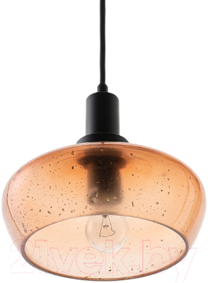 Потолочный светильник Bergenson Bjorn Speckles / BB0000543