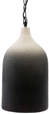 Потолочный светильник Bergenson Bjorn Sustainable / BB0000174 (черный/белый)