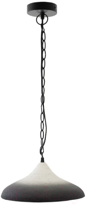 Потолочный светильник Bergenson Bjorn Sustainable / BB0000172 (черный/белый) - фото