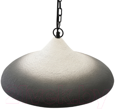 Потолочный светильник Bergenson Bjorn Sustainable / BB0000172 (черный/белый)