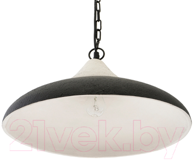 Потолочный светильник Bergenson Bjorn Sustainable / BB0000172 (черный/белый)