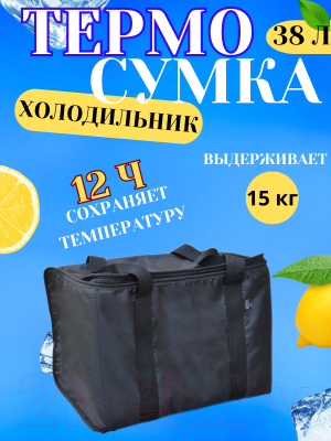 Термосумка Sled 30x43x30